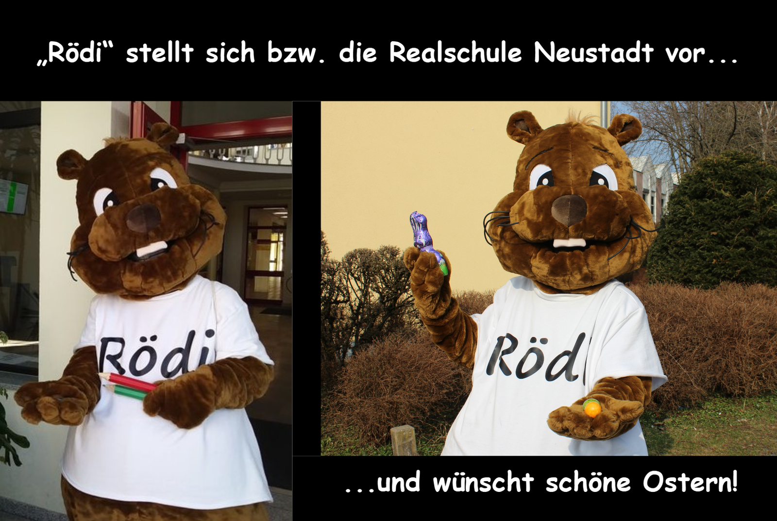 Schulmaskottchen "Rödi" stellt sich vor und wünscht schöne Ostern!